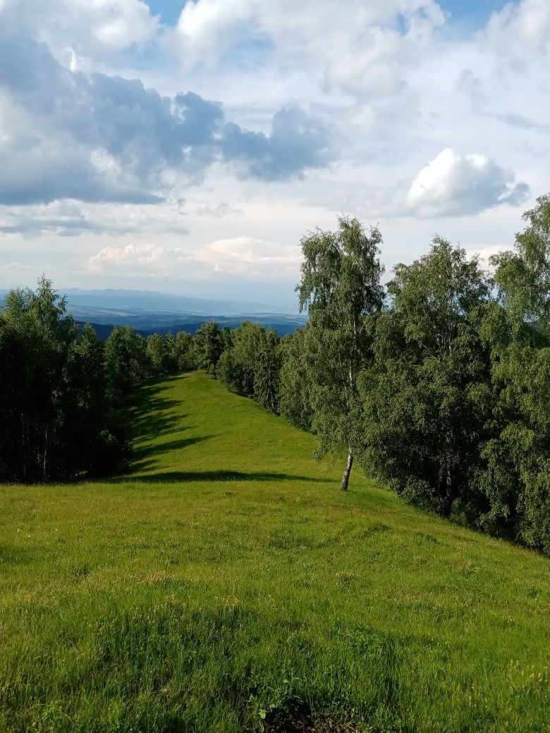 Vând teren în Satul Târsa!