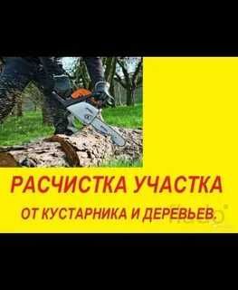 Кронирование,подрезка,кустарники и ТД, Спилим аварийное дерево!
