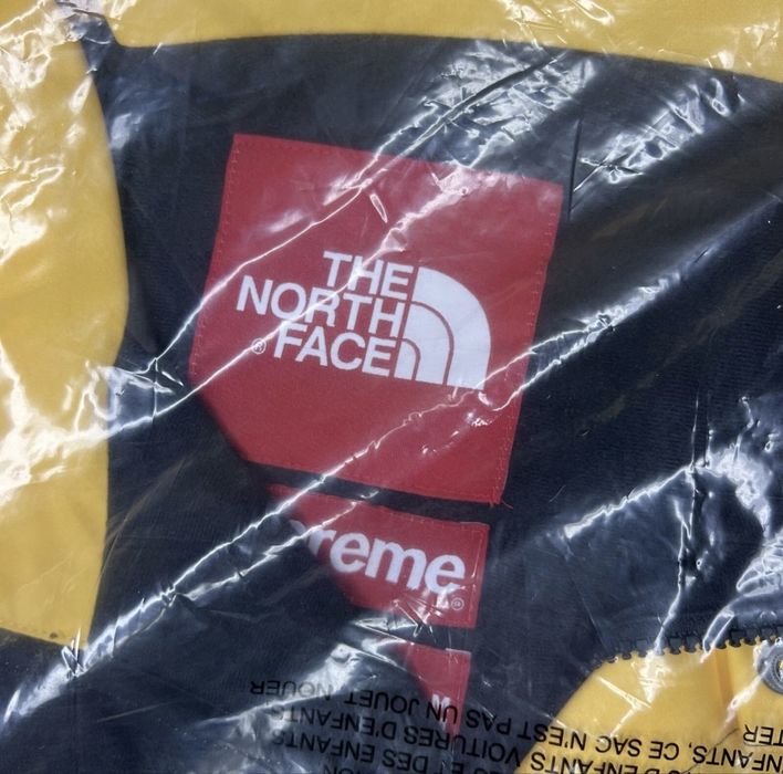 Supreme x The North Face Mountain jacket