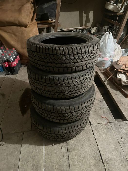 Зимние шины 205/55 R16