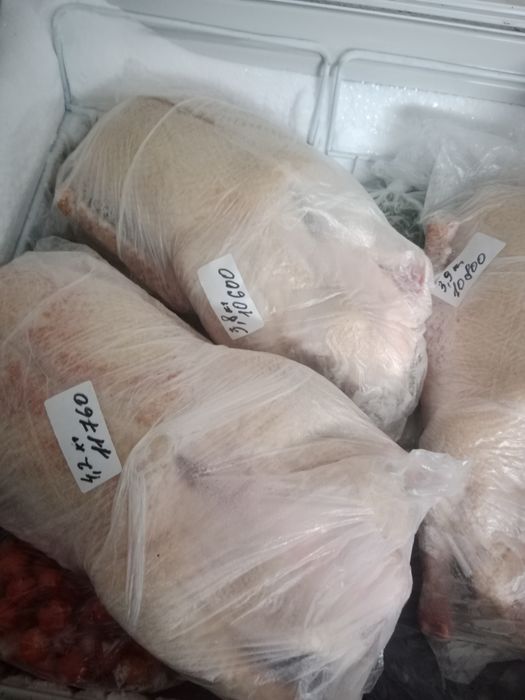 Продам домашних гусей, возможна доставка