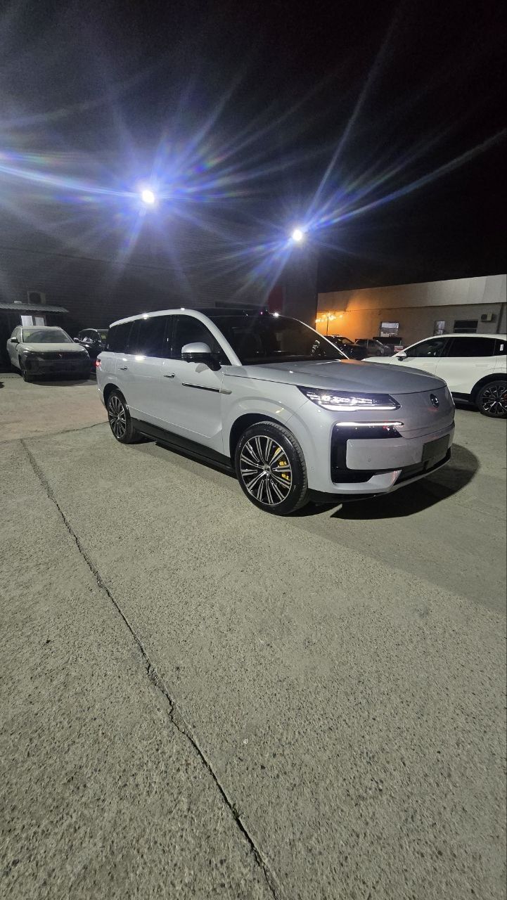 Denza N9 DM 2025