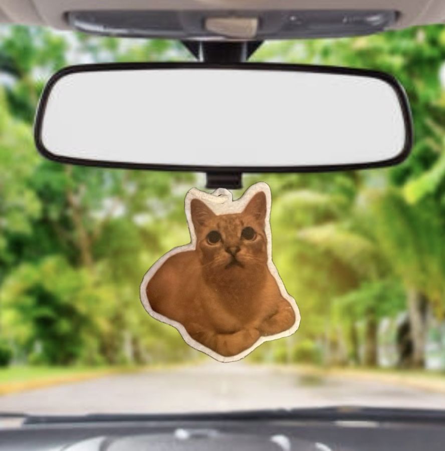 Odorizante Auto Personalizate - Calitate Premium, Arome Persistente