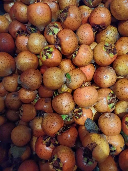 Мушмули цена 4 лв