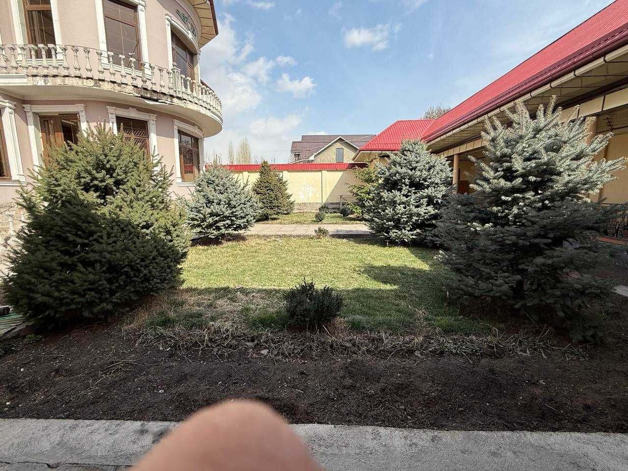 Голубой ель, пихта арча 8 йиллик бўйи 3.5 м жами 7та (самовывоз)