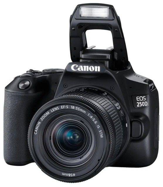 Canon EOS D250. Fotoaparat