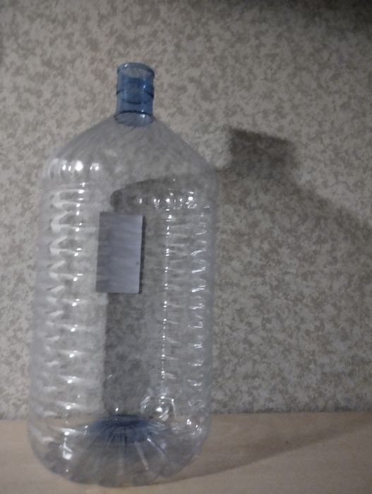 Баклажки , две штуки .