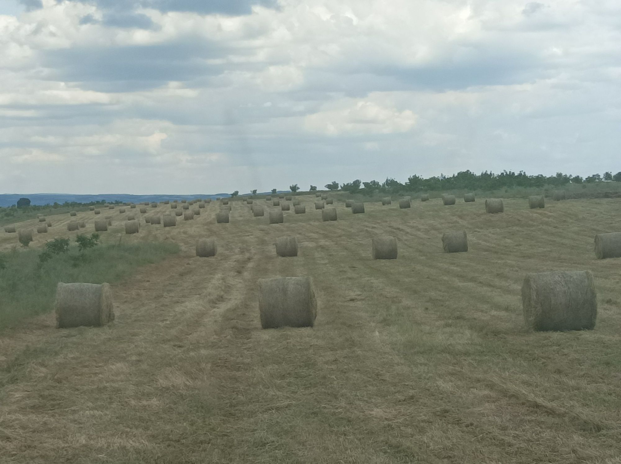 Ролонни бали сено и люцерна