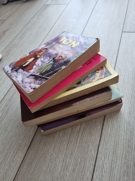 Lot cărți literatura română