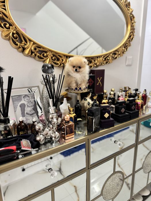 Pomeranian extra mic