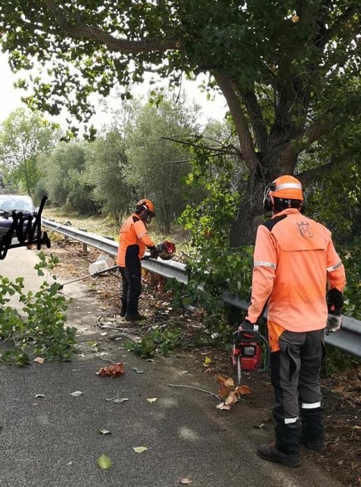 Curatare defrisare terenuri