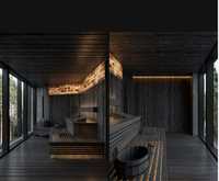 Sauna black luxury