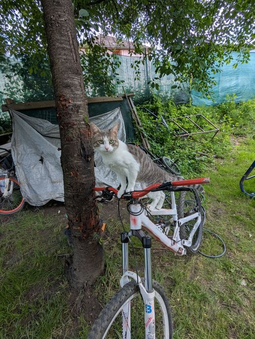 schimb cu biciclete sau trotineta electrica Scott voltage fr