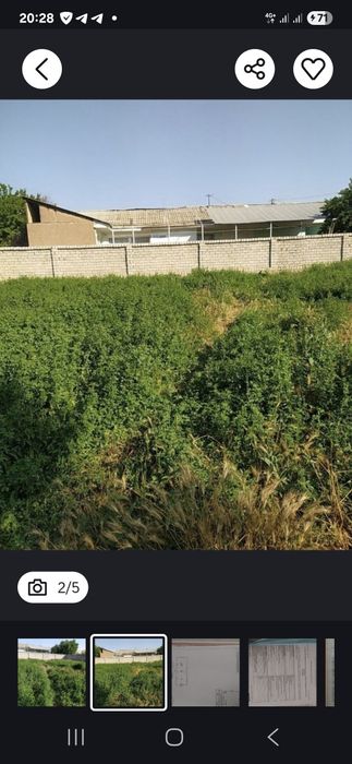 Срочно сотилади Янгийул тумани Туябугиз мфй,  6 сотих ер сотилади