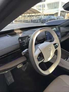 Dongfeng 007 Elektor