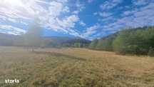 GM53438 Oportunitate investitie in Muntii Fagaras, teren 18000mp