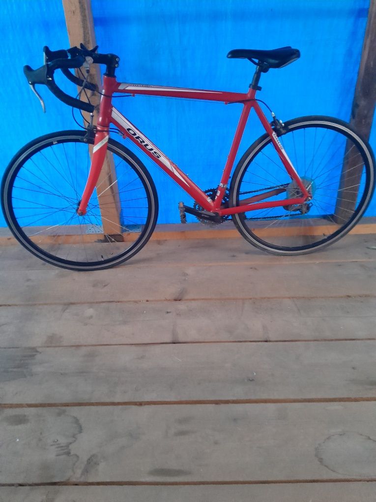 Bicicleta Ours de curse