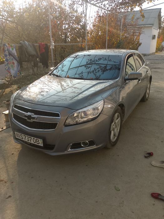 Малибу 1 2 поз 2013