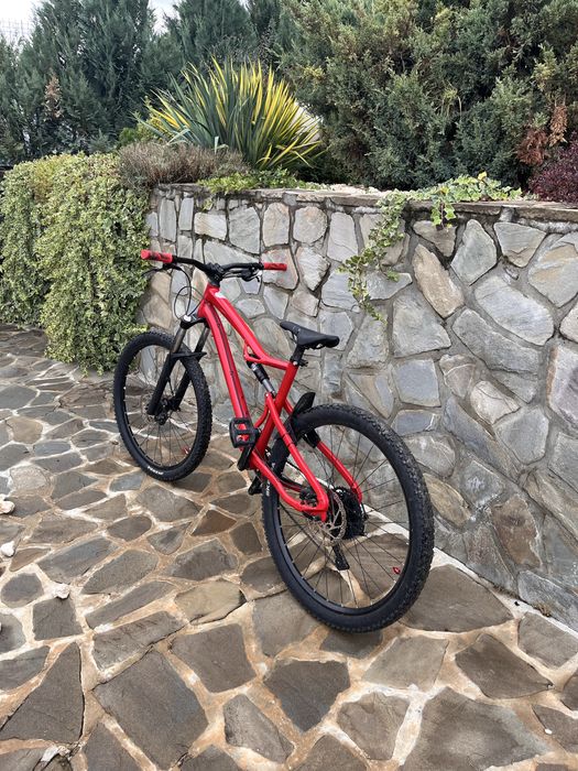 Vand Rockrider 530s custom