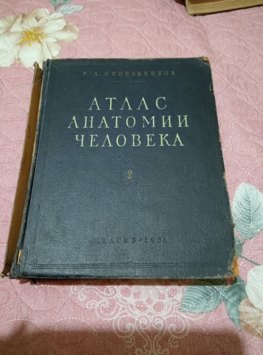 Атлас анатомии человека. Синельников
