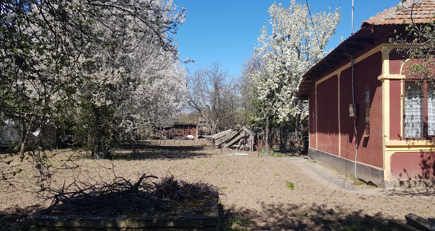 Casa si teren Zimnicea