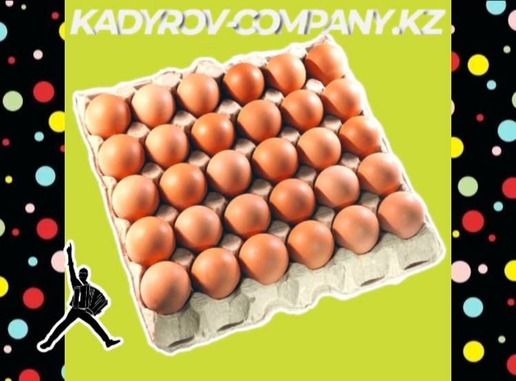 Выращивайте лучших кур с инкубационными яйцами Ломан Браун!