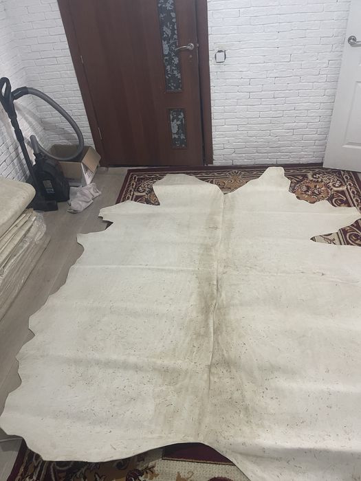 Продам сырямать ( қайыс)