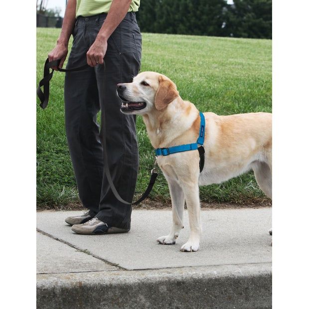Ham pentru câini PetSafe Easy Walk, marimea L - NOU