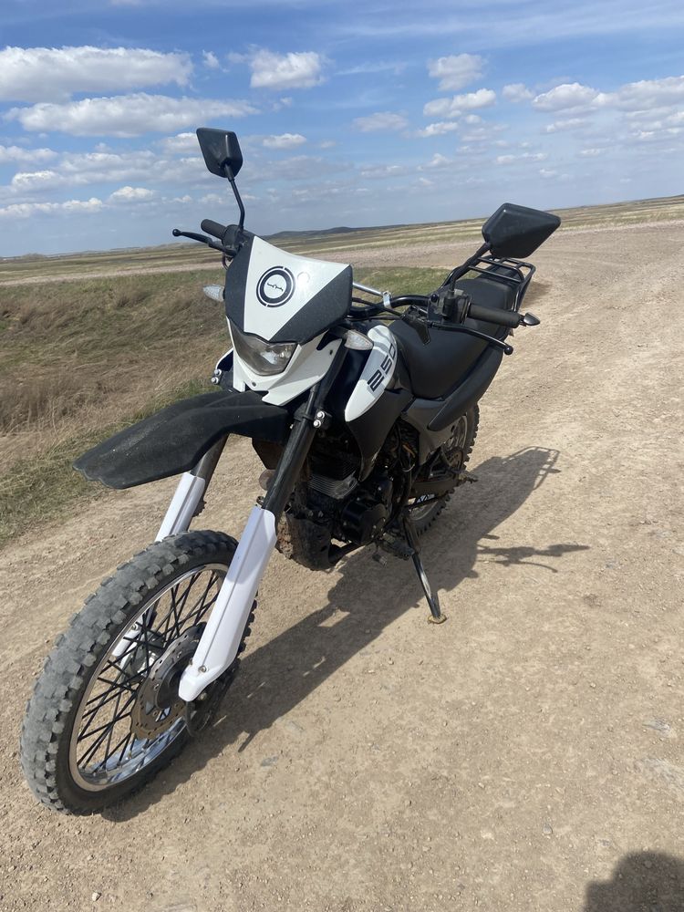 Рейсер пантера 250