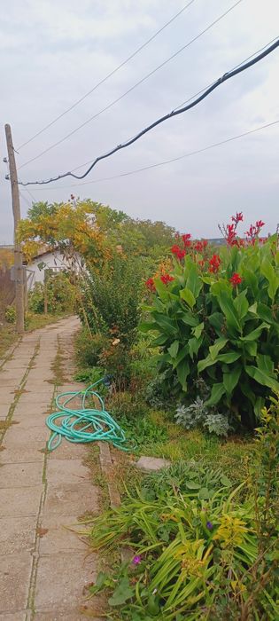 Имот в с. Селци, област Пловдив . От собственик.