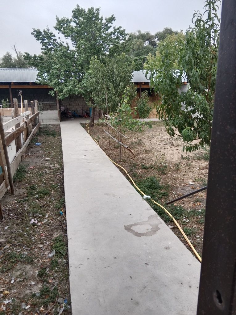 Продается дом залиний