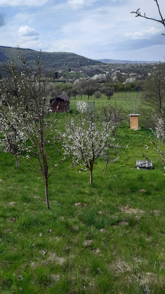 Teren De Vanzare
