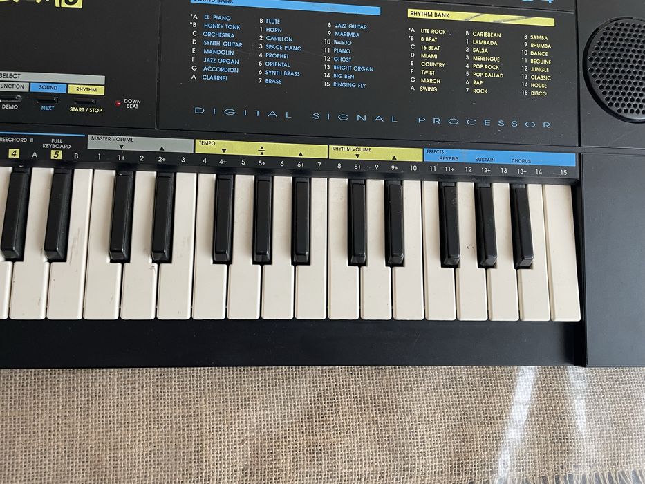 Orga pentru copii incepatori