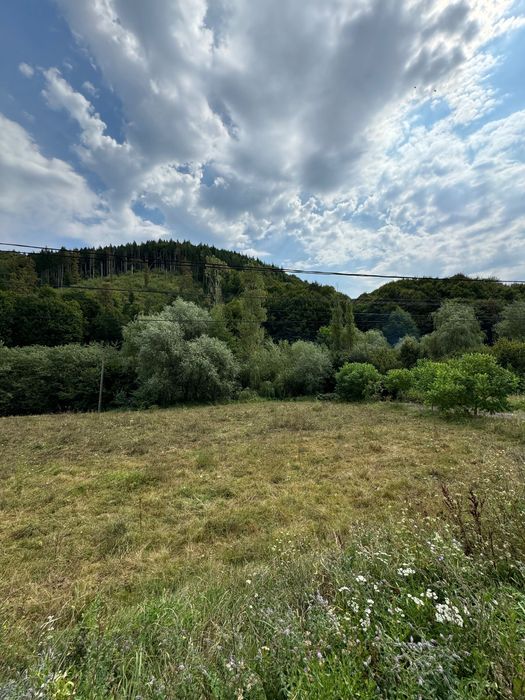 Teren de vânzare ieșire localitatea Tg. Lăpuș înspre Rohia