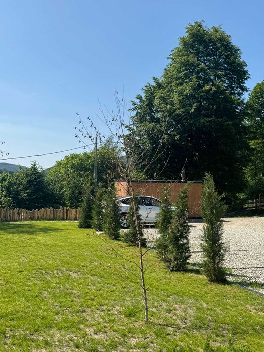 Design și amenajare profesională pentru grădina ta