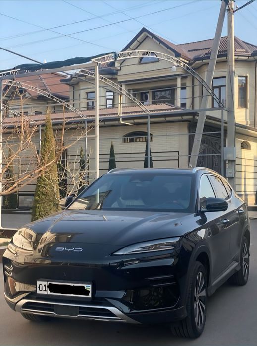 BYD Champion 2024-yi,l 520km battery