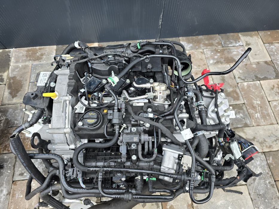 Motor 1.0 ecoobost B7BJ 125 cp