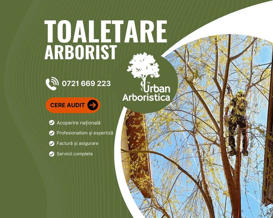Toaletare Taiere Copaci Pomi - Servicii Alpinist Arborist Alba Iulia