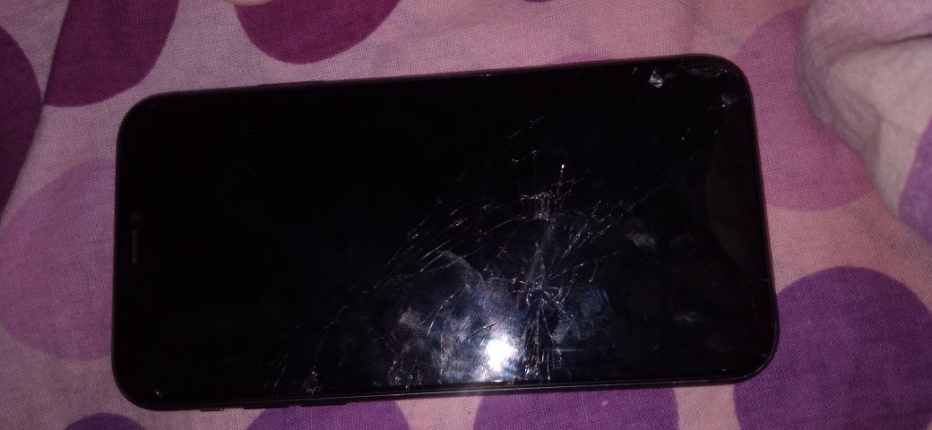 IPhone 11 найден