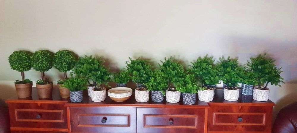 Inchiriez covor rosu, incalzitoare terasa, plante artificiale etc