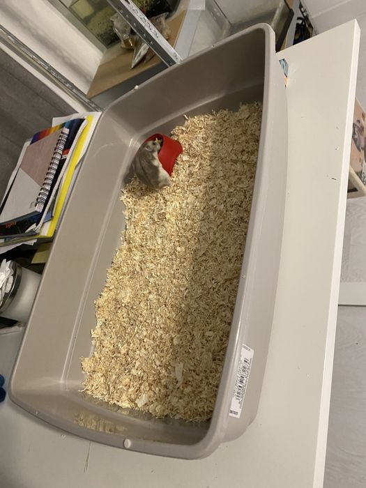 Cusca de hamsteri cu tot cu hamster