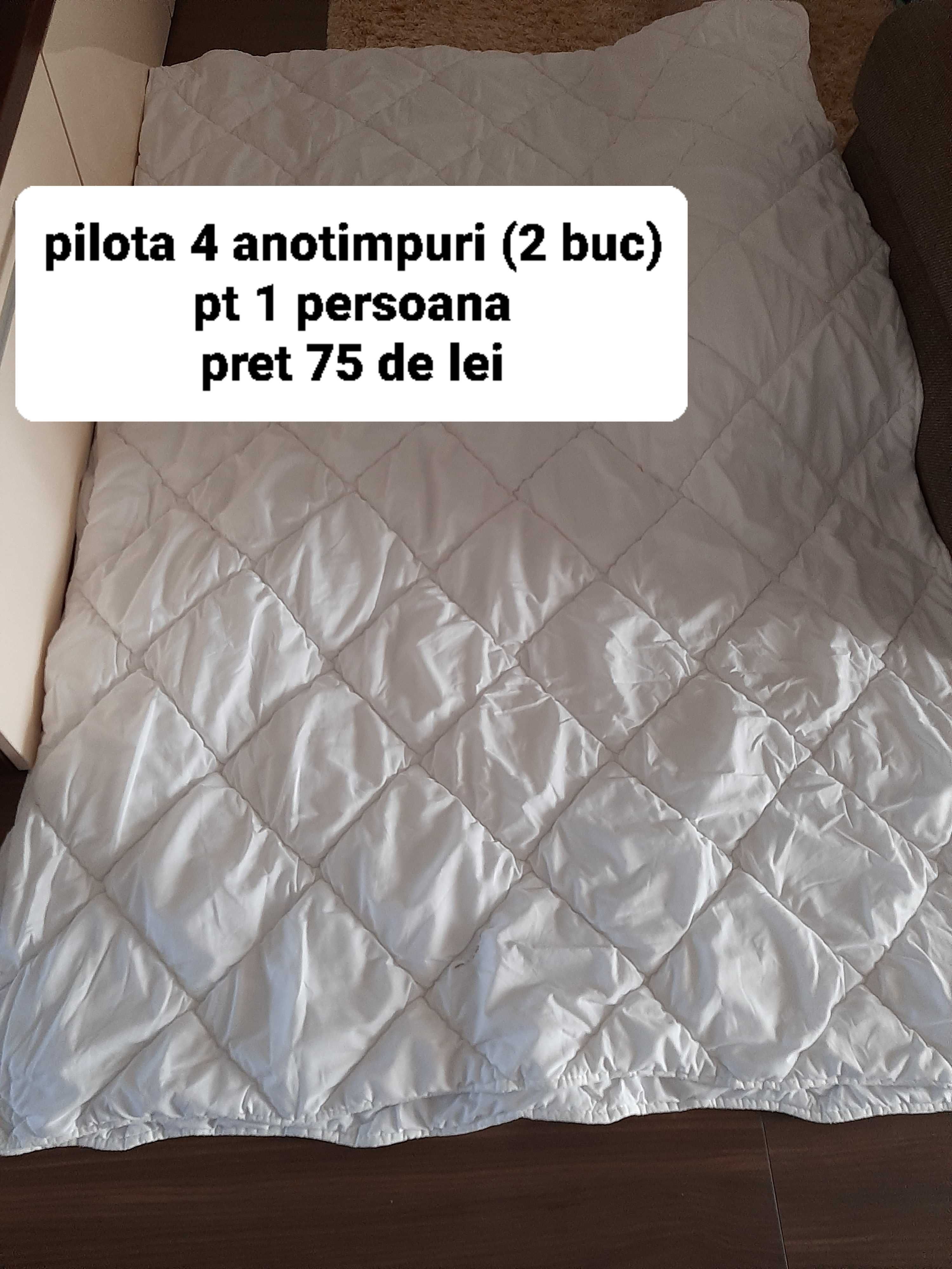 Vand plapuma 4 anotimpuri