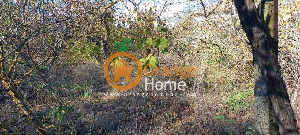 Продава се Къща в с. Българево, Област Добрич - 90 кв.м за 500 €/кв.м - Снимка #12