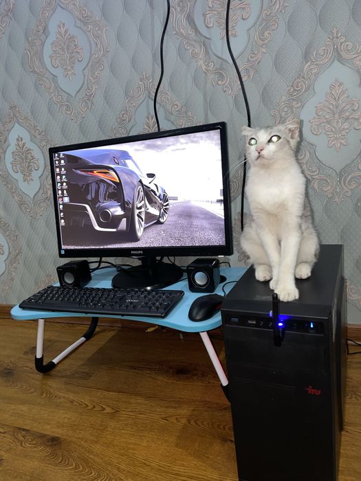 Kamyuter va manitor sotiladi qolgan$ narsalar bonusga beriladi