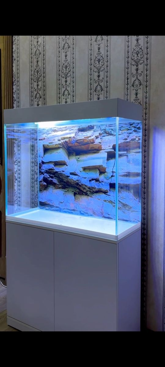 Yengi Akvarium sotiladi аквариум akvarin