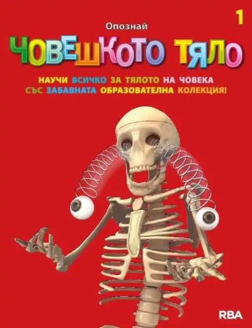 Човешкото тяло - скелет