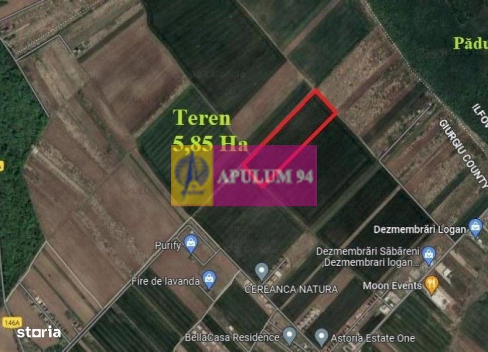 Săbăreni, teren intravilan construibil 5,85 ha, între 2 păduri