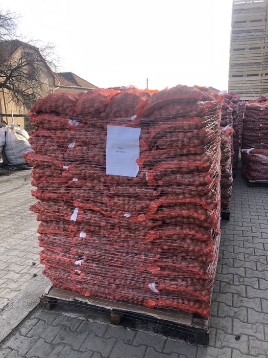 Cartofi samanta Carrera din judetul Covasna