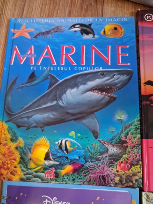 Patru cartii pentru copii Stitch