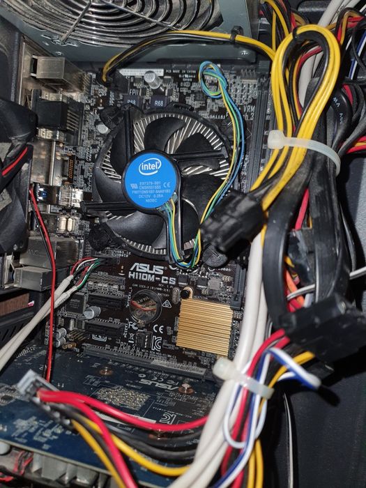 Coller intel stock